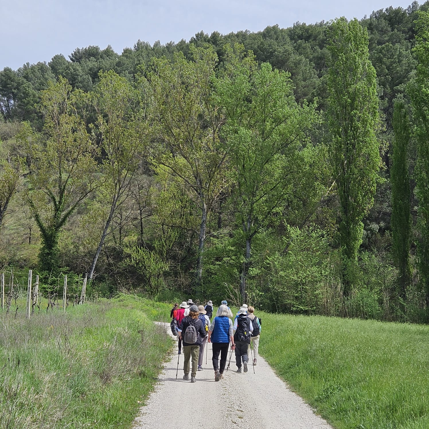 Cammini in Umbria: il futuro del turismo